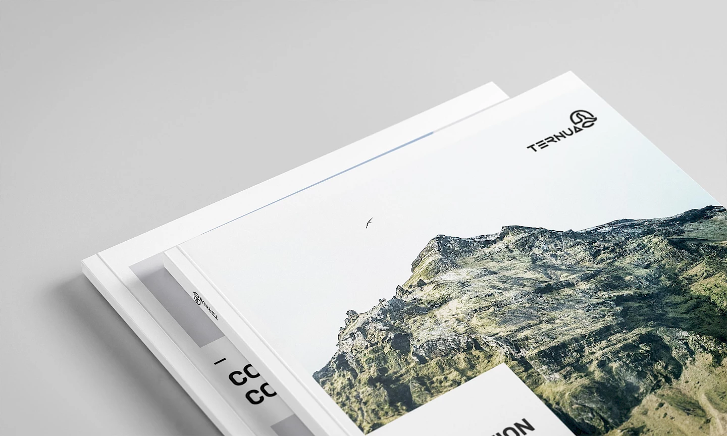 branding ternua catalogue digital design move book brand 02 